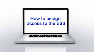 How to assign access to ESS