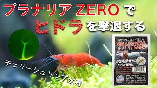 チェリーシュリンプ水槽のヒドラをプラナリアZEROで駆除してみた