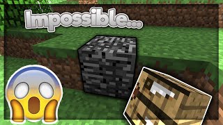 Minecraft, But EVERY Block You Place Turns Into BEDROCK