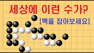 바둑 묘수 - 감탄이 절로 나오는 절묘한 사활입니다. 백을 잡아보세요.