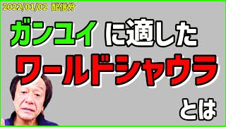 【村田基】ガンユイに適したワールドシャウラとは【村田基切り抜き】