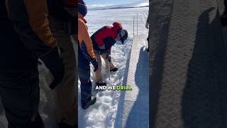 Falling through the ice in Antarctica?