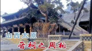 【山西】太原晋祠之周柏，最古老的周代时期就有的古柏。A thousand-year-old tree in Taiyuan, Shanxi, China.にある樹齢千年の木。천년 된 나무.