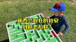 各种“0元购”！新西兰现在的治安到底怎么了？