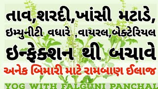 શરદી,ખાંસી,તાવ લો ઇમ્યુનીટી જેવી અનેક બીમારીની રામબાણ ઔષધિ