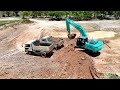 excellent working truck 5ton and excavator kobelco sx200 processing perfects projects clear pond