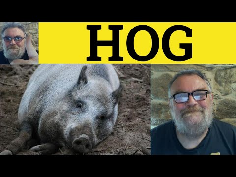 Is hog a noun or verb?