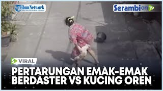 VIRAL Pertarungan Emak-emak Berdaster VS Kucing Oren, Usir Pakai Air Malah Diserang Balik