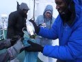 Ian Burrell making a Pusser's Grog in Antarctica