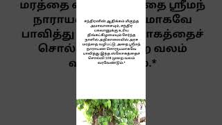 திங்கள்அரச மரத்தை வலம் வந்து வழிபட்டால் நினைத்தது நடக்கும்#crawl#worship# #royal#tree#wish#shorts