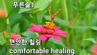 [감성힐링ㆍEmotional healing]편안한힐링.피아노연주.스트레스해소.클래식 .comfortable healing.playing the piano.Stress relief