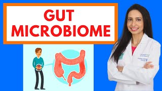 GUT MICROBIOME:  A Doctor's guide to IBS, Leaky Gut, SIBO, Probiotics, Food Allergies, and Diet!