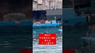 アース君とイケメントレーナーさん②　名古屋港水族館