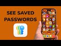 How To See Saved Passwords on iPhone?