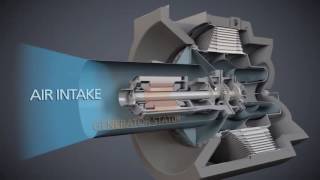 Capstone Turbine Industrial CCHP Application