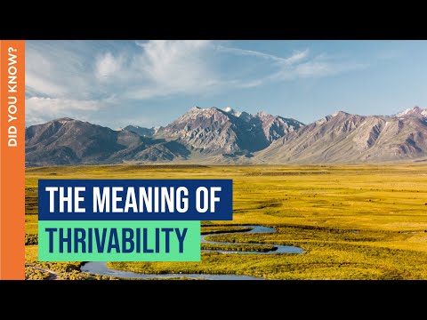 What does Thrivability mean?