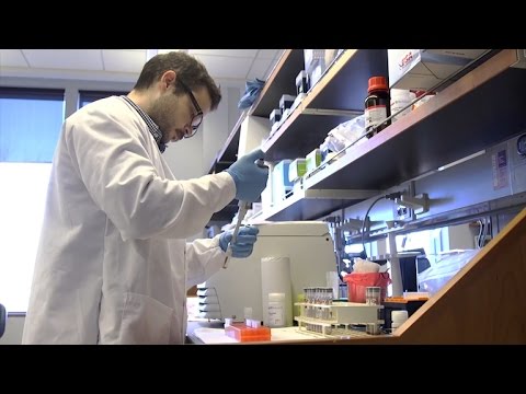 Will bacterial infection show up in blood work?