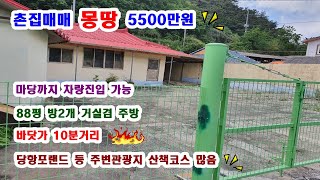 [120촌집매매 몽땅 5500만원 급,매매