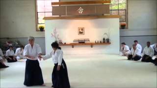 ASNJ Seminar 2014, Yamada Sensei