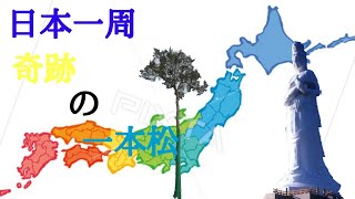 日本一周ｰ岩手県🚴陸前高田～釜石