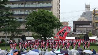 【4K】湘南森本連（第19回「湘南よさこい祭り2024」/見附台公園 芝生広場会場）