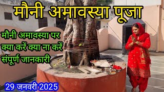 मौनी अमावस्या पूजा विधि ll Mauni Amavasya Pooja vidhi ll