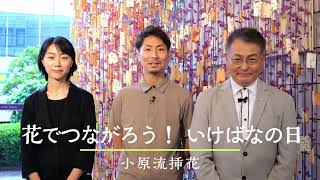 小原流挿花オンラインイベント「花でつながろう！　いけばなの日」ダイジェスト！