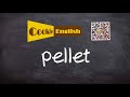 pellet pronunciation paraphrase listen u0026 practice