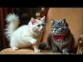 a cat’s purr fectly hilarious day