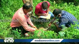 മുട്ടിൽ വനം കൊള്ള; കരാർ തൊഴിലാളിയും മരക്കച്ചവടകാരനുമായുള്ള ഫോൺ സംഭാഷണം പുറത്ത് | Phone call leaked