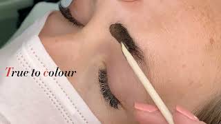 Hi Brow QIC Brow Tinting