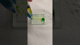 Microfluidic Chip