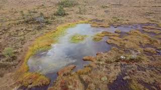 Soomaa National Park drone views