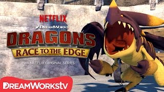 Dragon Death Match | DRAGONS: RACE TO THE EDGE