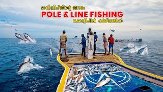 Pole & Line Fishing ലൂടെ ട്യൂണ മീനെ പിടിച്ച ആദ്യ കേരള വനിത | Sustainable Fishing in Lakshadweep