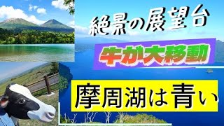 【道東旅行5】摩周湖と弟子屈周辺の観光がとてもよかった 牛が放牧されている900草原は穴場観光スポットでした