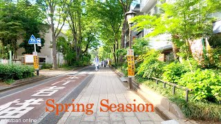 Walking tour on Spring seasion in Omiya city Saitama | Japan Walk @Explore-Japan