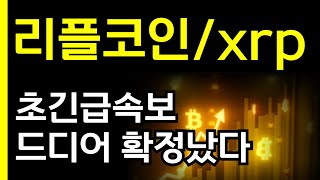 리플코인 초긴급속보 드디어 확정났다