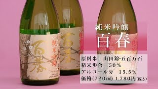 【小坂酒造場】百春 純米吟醸