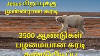 3500 ஆண்டு பழமையான கரடி| Jesus பிறப்புக்கு முன்னரான Bear| 3500 years old bear found Siberian forest