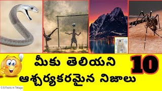 ఆ దేశం లో అర్ధరాత్రి సూర్యుడు ఉదయిస్తాడా!!! | Top 10 Facts In Telugu | Telugu Interesting Facts