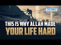 THIS IS WHY ALLAH MADE YOUR LIFE HARD