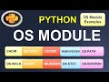 Python OS Module Tutorial #25