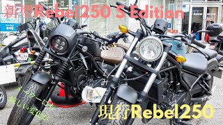 【新旧比較】Rebel250 S Editionと現行Rebel250どっちが好み？