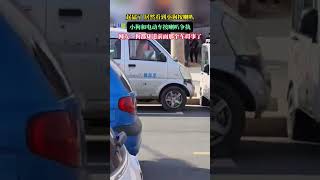 起猛了，居然看到小狗按喇叭，小狗和電動車按喇叭爭執，網友：狗都知道前面那個車礙事了