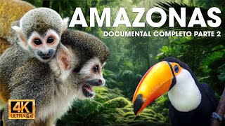 AMAZONIA (PARTE 2) - Una Aventura por la Selva Imponente | Documentales completos en español