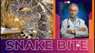 Alert!!! Snake Bites: Dr. Agron's Expert Advice, Joke of the Day, and ER Chronicles