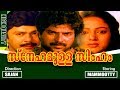 Snehamulla Simham | Malayalam Superhit Movie | Mammootty | Nalini | Mukesh