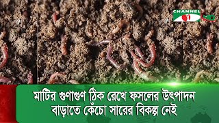 সিরাজগঞ্জে ভার্মি কম্পোস্ট উৎপাদন বাড়ছে