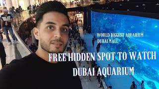 Dubai Mall Aquarium | Underwater Zoo | Dubai Mall | Free Hidden Spot | Dubai Tourist Attraction